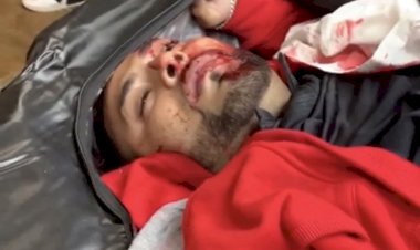 One Punjabi community man killed in McComb parking lot.